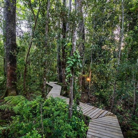 Rakau Lodge ปูกอน ภายนอก รูปภาพ