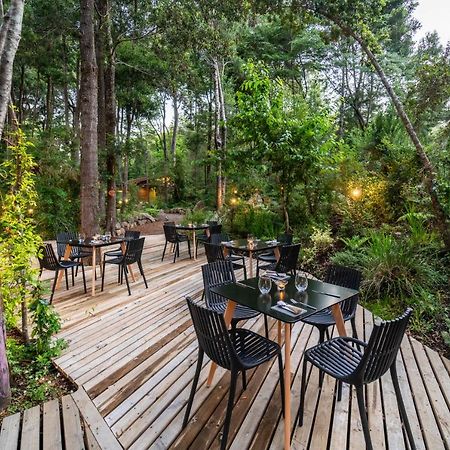 Rakau Lodge ปูกอน ภายนอก รูปภาพ